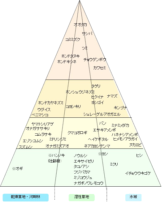 現状の生態系