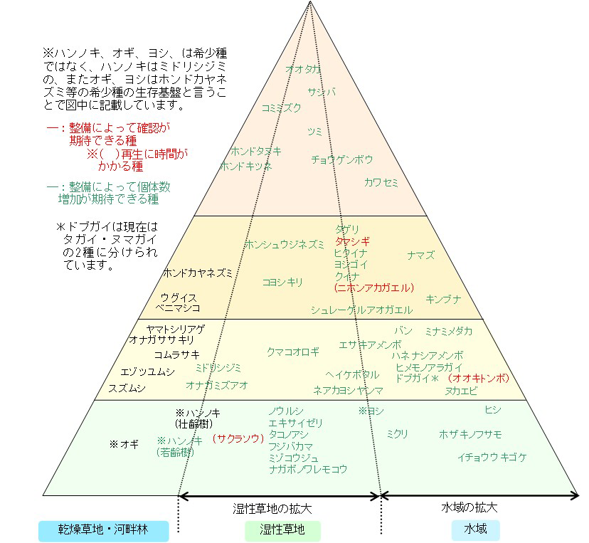 整備に期待される生態系