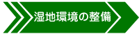 矢印：湿地環境の整備